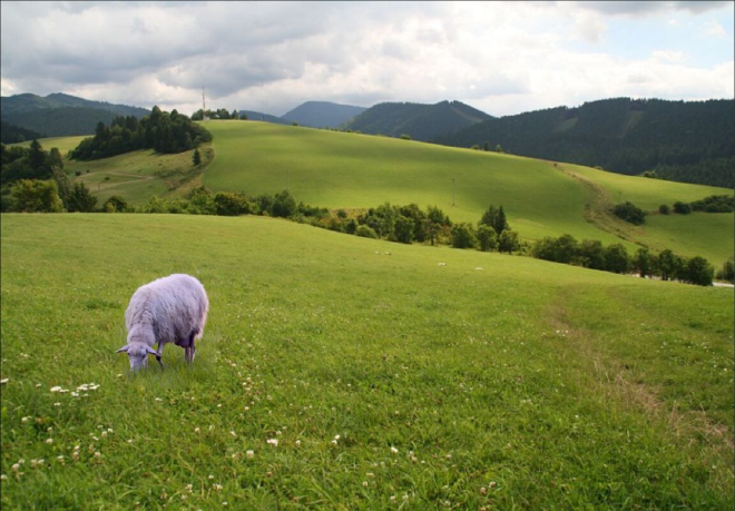 &ldquo;Result img&rdquo;